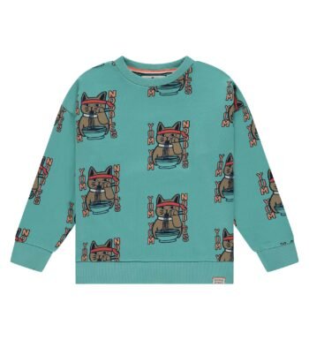 Παιδικό φούτερ για αγόρι